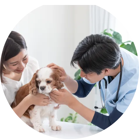 動物病院開業無料相談