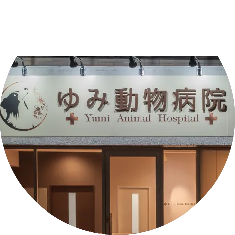 開業獣医インタビュー