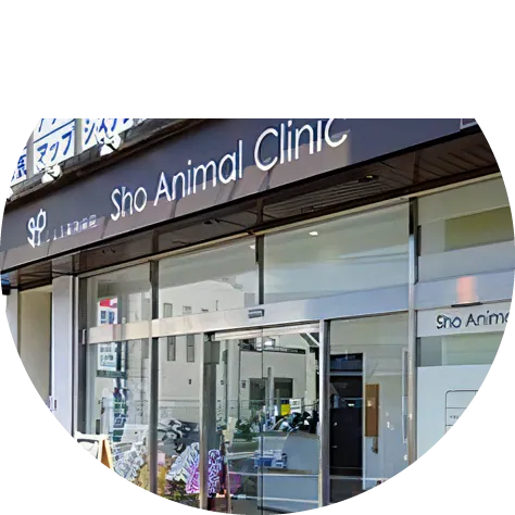 開業獣医インタビュー