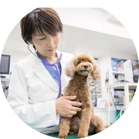 【期間限定】院長体験