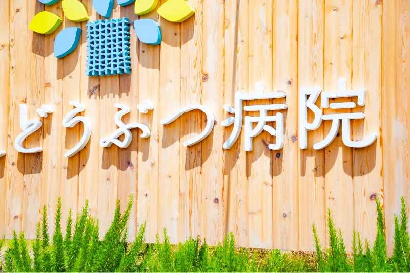 基本構想の確立