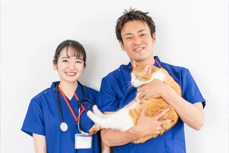 スタッフの募集