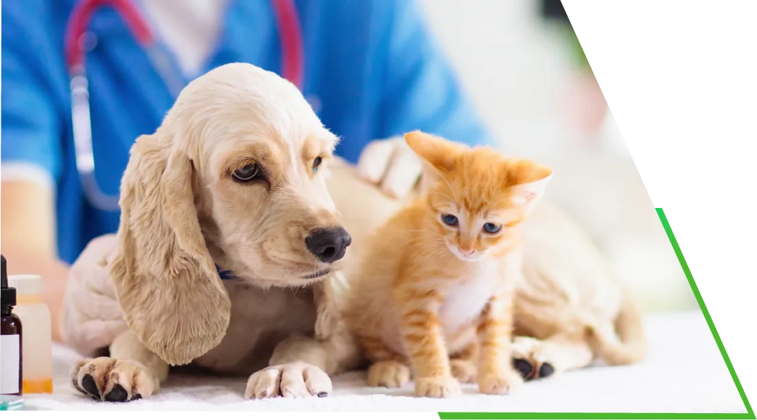 「自分の思うような自由な治療をしていきたい」