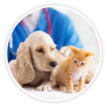 動物病院開業セミナー開催