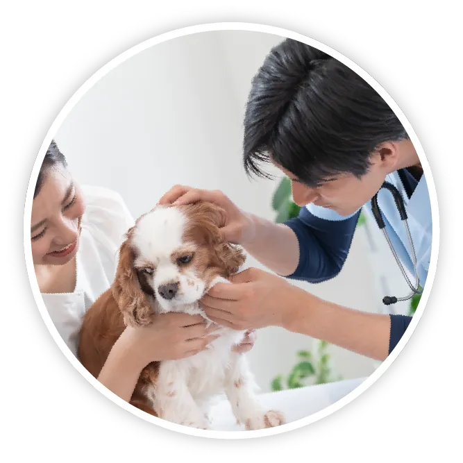 動物病院開業セミナー開催