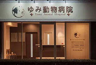 ゆみ動物病院（横浜市都筑区）磯野 由美子院長