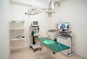 ゆみ動物病院（横浜市都筑区）磯野 由美子院長