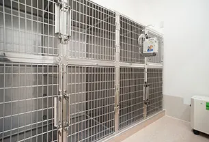 ゆみ動物病院（横浜市都筑区）磯野 由美子院長