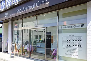 しょう動物病院（横浜市緑区）草場 翔央院長