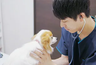 しょう動物病院（横浜市緑区）草場 翔央院長