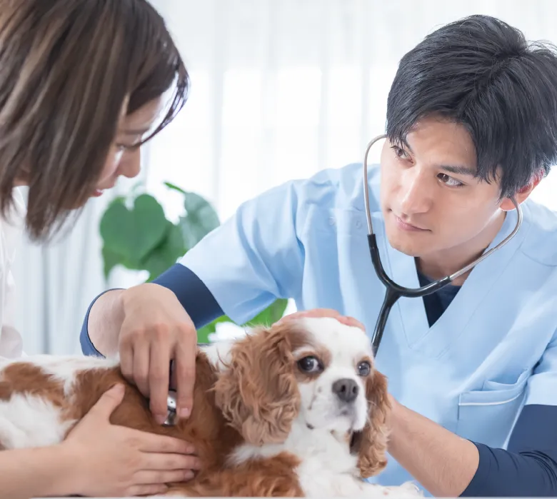 ８０年５００件の開業を支援してきた弊社だからいえること